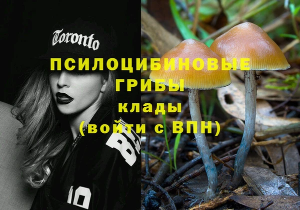 крисы Баксан