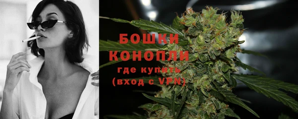 крисы Баксан