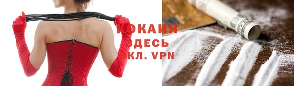 крисы Баксан