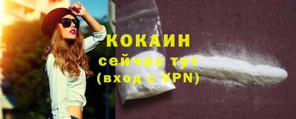 крисы Баксан
