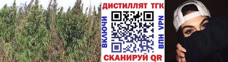 Дистиллят ТГК THC oil  Корсаков 